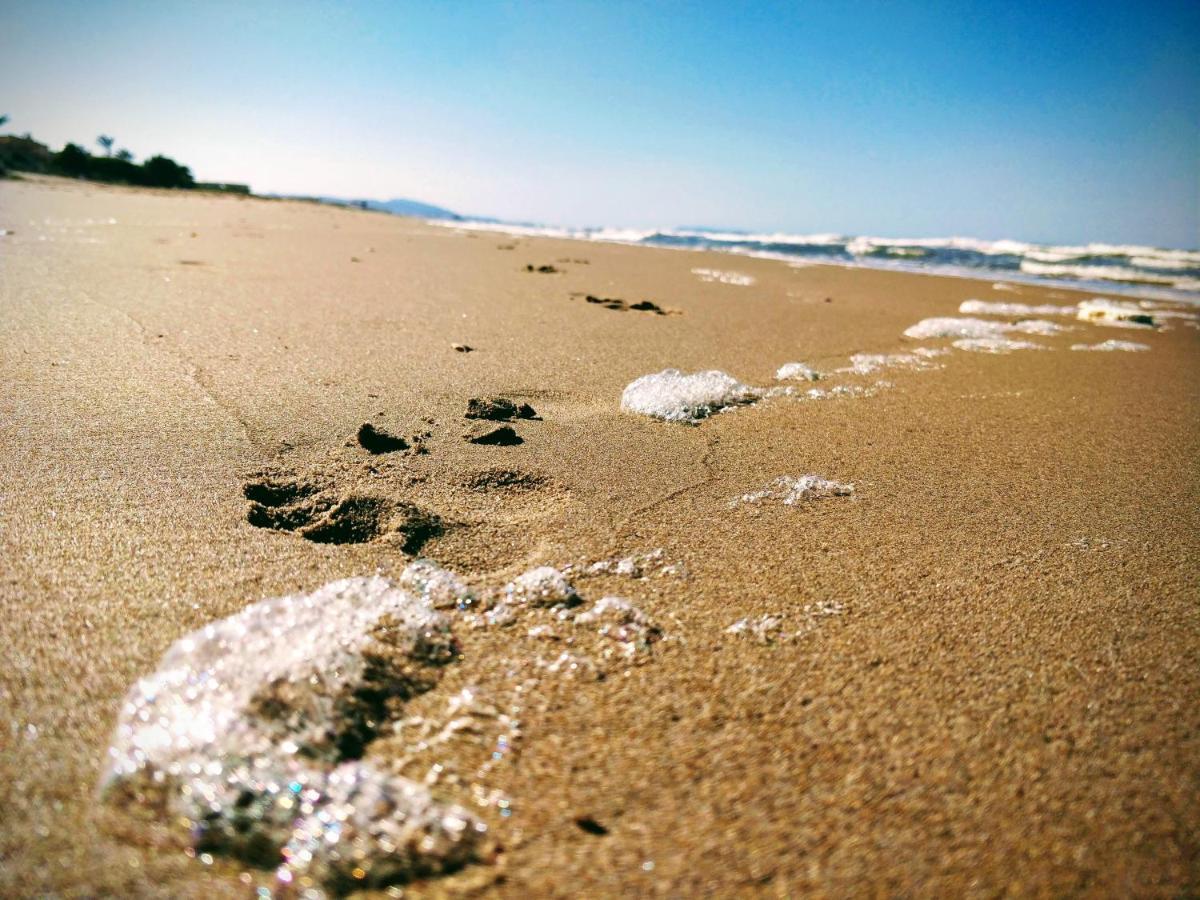 Hello Piles Beach Javier Dış mekan fotoğraf