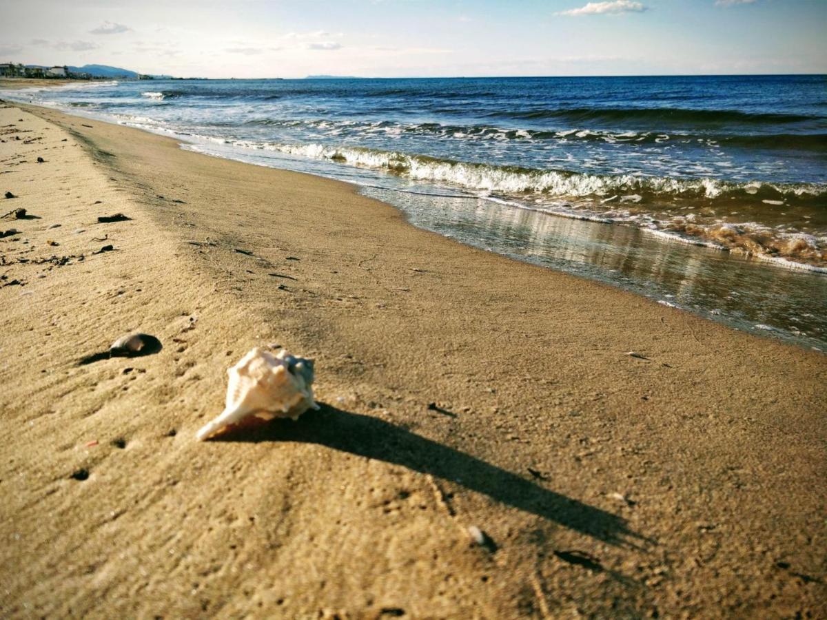Hello Piles Beach Javier Dış mekan fotoğraf